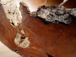 Walnut